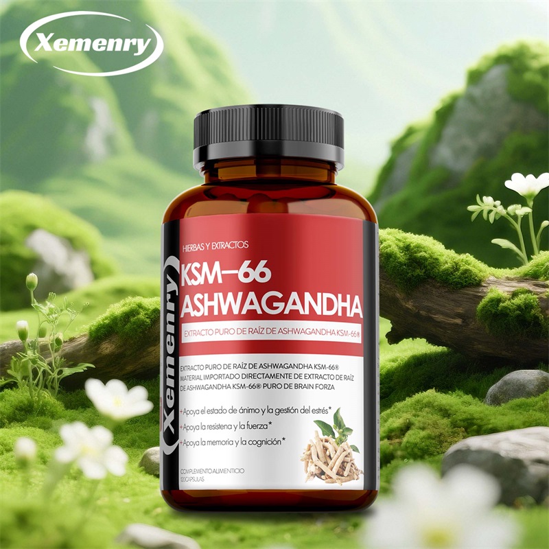 Ashwagandha Extract Root - Cápsulas de extrato de raiz KSM