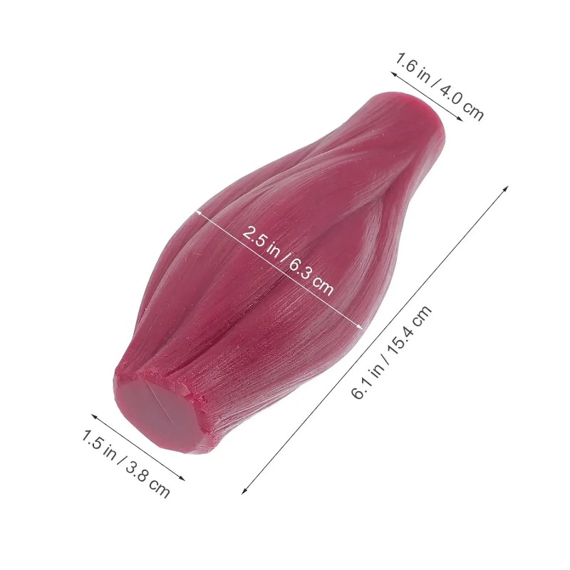 Modelo de 1 libra de músculo e - Nutrition For Fitness avaliação e preço